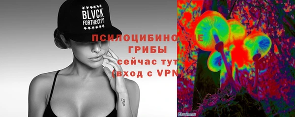 СК Покачи