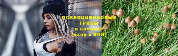 крисы Покровск