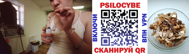 Псилоцибиновые грибы Magic Shrooms  Купить где  Чайковский 